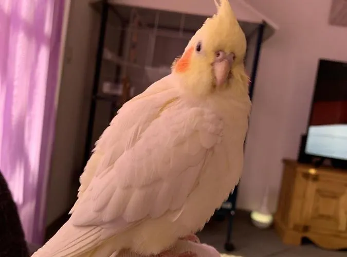 منزل للإقامة Do Mi Si La Do Re Dorenaz